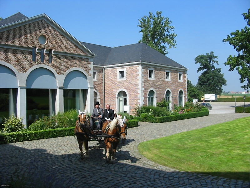 CHATEAU DE LIMONT